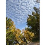 PICTURES FROM THIS PHONE