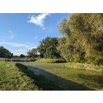 PICTURES FROM THIS PHONE