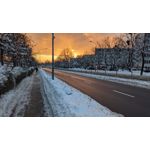 Imágenes de los usuarios Google Pixel 4a