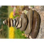 Imágenes de los usuarios Google Pixel 5