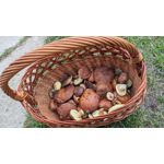 Imágenes de los usuarios Google Pixel 5a 5G