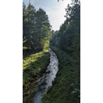 來自這款手機的圖片