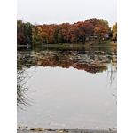 來自這款手機的圖片