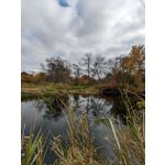 來自這款手機的圖片