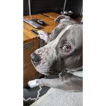 FOTOS AUS DIESEM HANDY