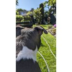 FOTOS AUS DIESEM HANDY