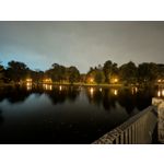 Pictures by this phone Google Pixel 10 Pro XL