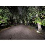 Pictures by this phone Google Pixel 10 Pro XL