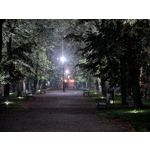 Pictures by this phone Google Pixel 10 Pro XL