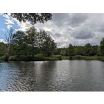 Pictures by this phone Google Pixel 10 Pro XL