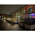 Pictures by this phone Google Pixel 10 Pro XL