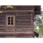 Pictures by this phone Google Pixel 10 Pro XL