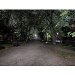 Pictures by this phone Google Pixel 10 Pro XL