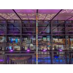 Pictures by this phone Google Pixel 10 Pro XL