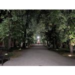 Pictures by this phone Google Pixel 10 Pro XL