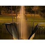 Pictures by this phone Google Pixel 10 Pro XL