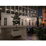 Pictures by this phone Google Pixel 10 Pro XL