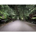 Pictures by this phone Google Pixel 10 Pro XL