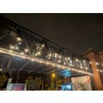 Pictures by this phone Google Pixel 10 Pro XL