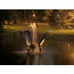 Pictures by this phone Google Pixel 10 Pro XL