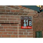 Pictures by this phone Google Pixel 10 Pro XL