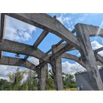 Pictures by this phone Google Pixel 10 Pro XL