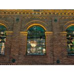 Pictures by this phone Google Pixel 10 Pro XL