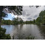 Pictures by this phone Google Pixel 10 Pro XL