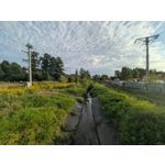 Pictures by this phone Google Pixel 10 Pro XL