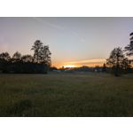 Foto dei utenti Google Pixel 8a