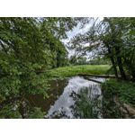 Foto dei utenti Google Pixel 8a