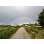 Foto dei utenti Google Pixel 8a