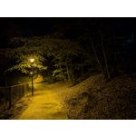 Selbst von Nutzern gemachte Bilder Google Pixel 9