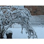 FOTOS AUS DIESEM HANDY