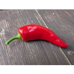 PICTURES FROM THIS PHONE