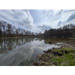 Selbst von Nutzern gemachte Bilder Google Pixel 9a