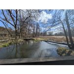 Selbst von Nutzern gemachte Bilder Google Pixel 9a