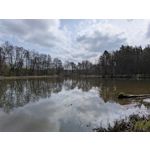 Selbst von Nutzern gemachte Bilder Google Pixel 9a