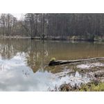 Selbst von Nutzern gemachte Bilder Google Pixel 9a