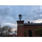 Selbst von Nutzern gemachte Bilder Google Pixel 9a