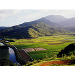 FOTOS AUS DIESEM HANDY