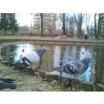 FOTO FATTE CON QUESTO TELEFONO