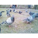 FOTO FATTE CON QUESTO TELEFONO