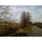 Foto dei utenti Hammer Blade Foto dei utenti Hammer Blade