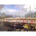 Foto dei utenti Hammer Blade Foto dei utenti Hammer Blade