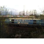 Foto dei utenti Hammer Blade Foto dei utenti Hammer Blade