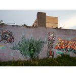 来自这款手机的图片