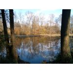 Foto dei utenti Hammer Explorer