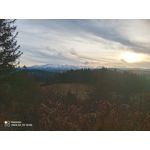 Foto dei utenti Hammer Iron V