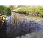 来自这款手机的图片